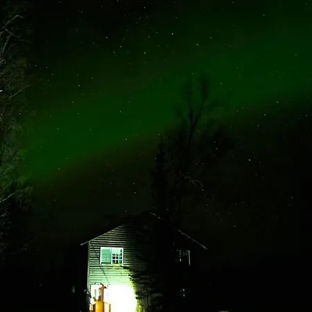 Grace And Bill'S Freedom Hills B&B Talkeetna Exterior foto